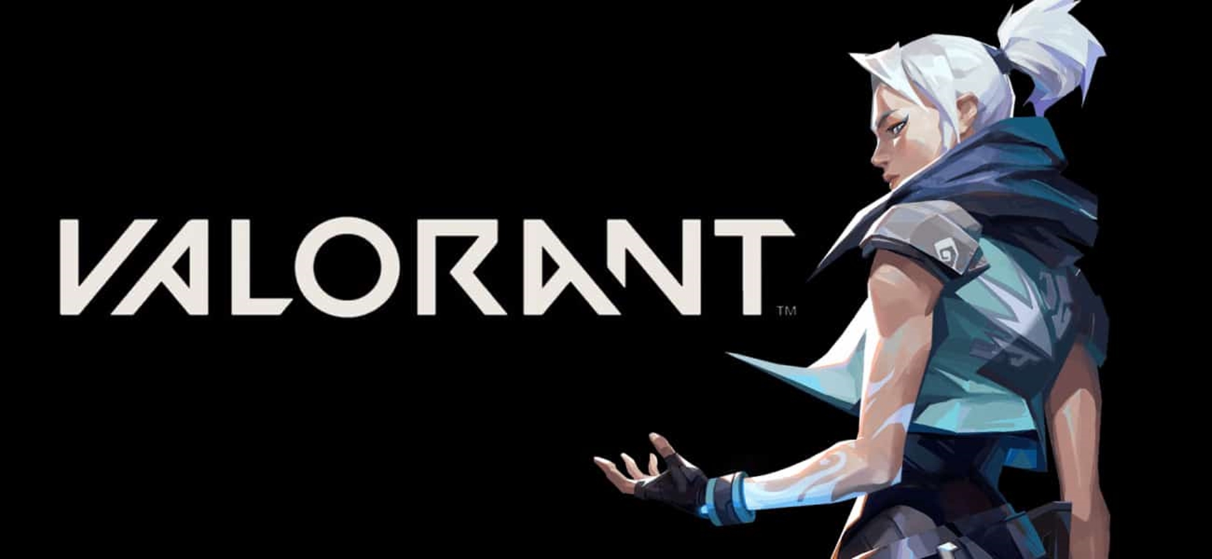 What is Valorant Vpd?
